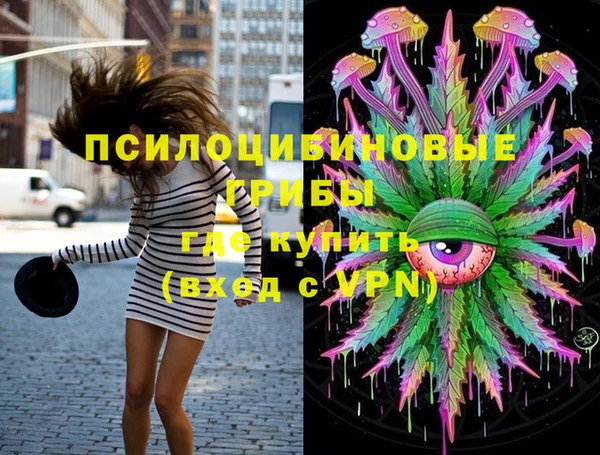 ешки Балахна